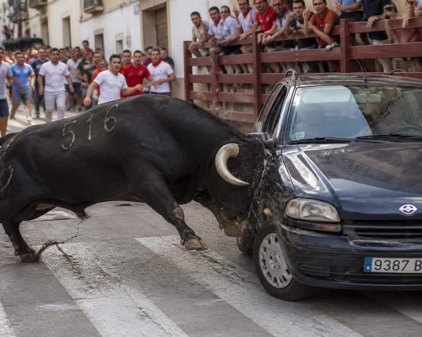 d&eacute;couvrez cette course folle o&ugrave; un taureau charge une voiture et s'accroche &agrave; sa vitre, une sc&egrave;ne impressionnante et pleine d'adr&eacute;naline.