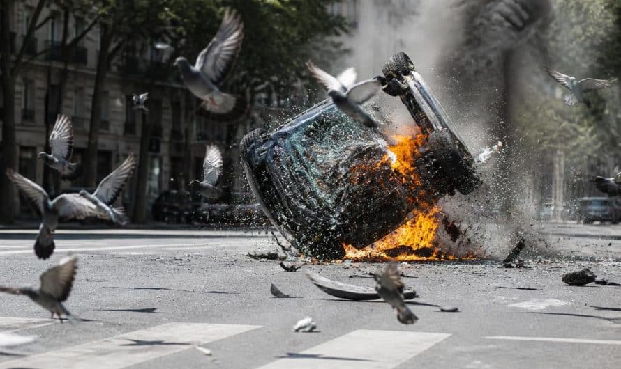 une conductrice échappe de justesse à des pigeons sur la route, mais sa voiture fait des tonneaux et prend feu, causant un accident spectaculaire.